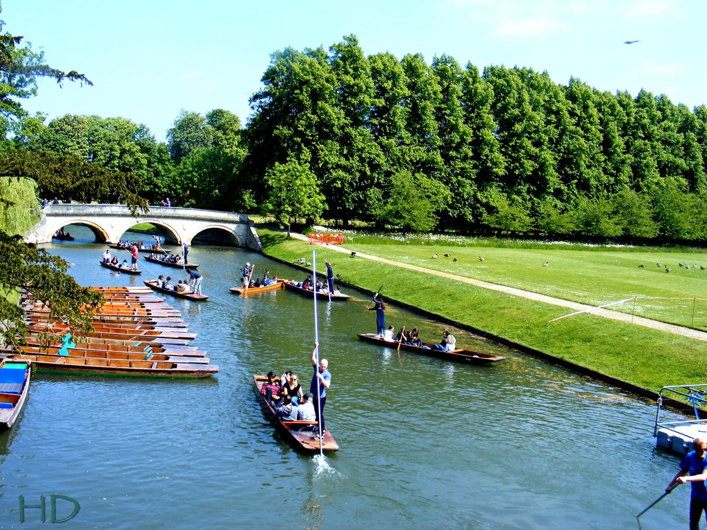 punting-HD.jpg
