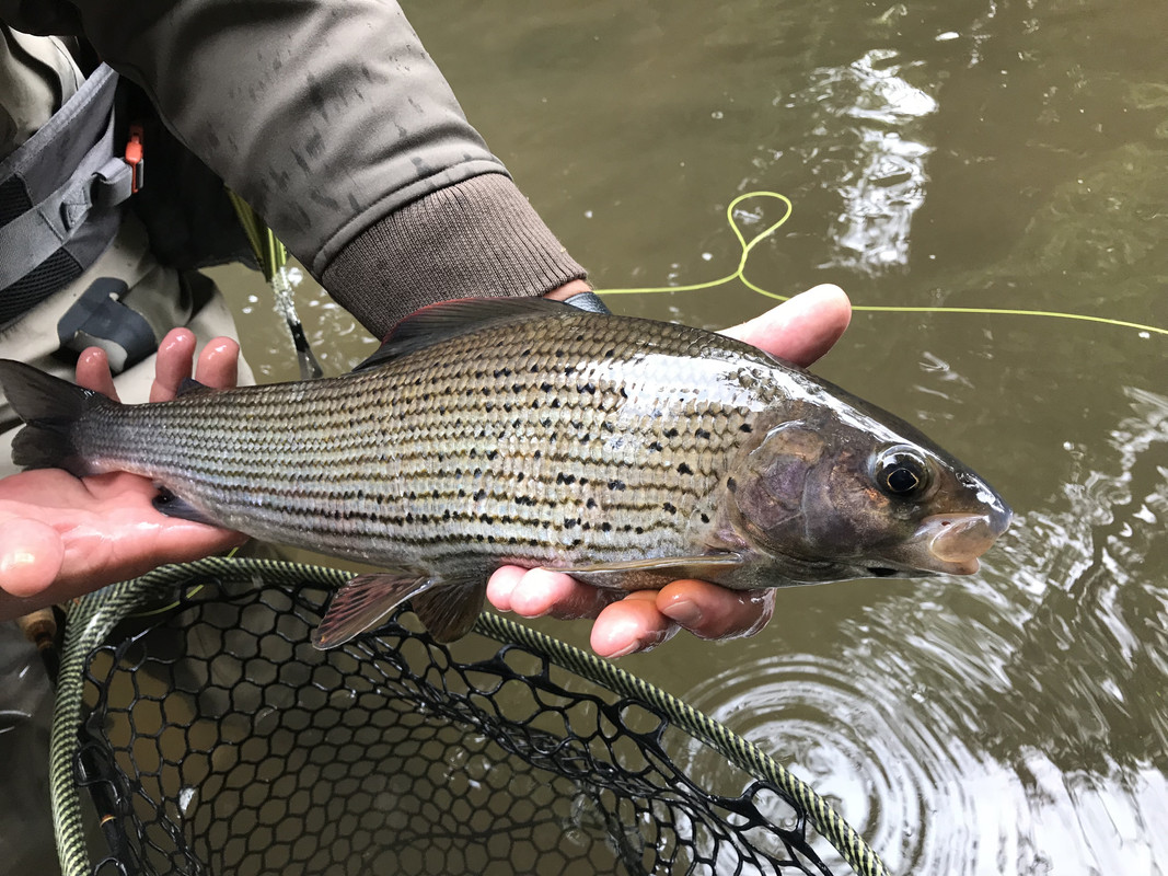 75A4E4DD-142A-41C3-8305-C9231FE2097A