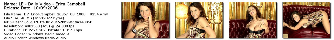 Info 001 Erica Campbell Daily Video Index