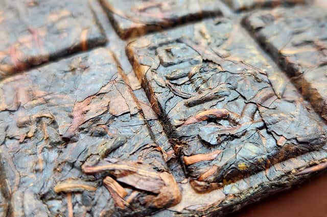 6944017ec917a8-88224789