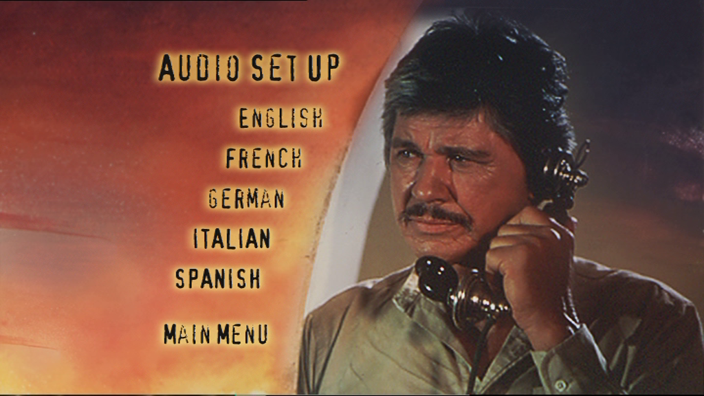 vlcsnap-2024-12-30-18h38m31s301