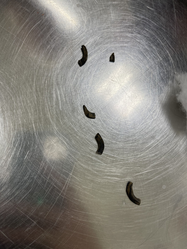 F0E76CD7-757F-444D-AA06-83B3C67CF16B