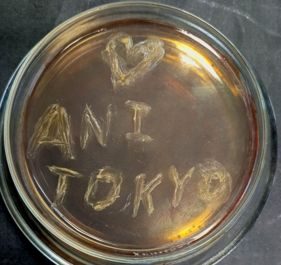 🎉 Творческий конкурс ко Дню рождения сайта! 🎂