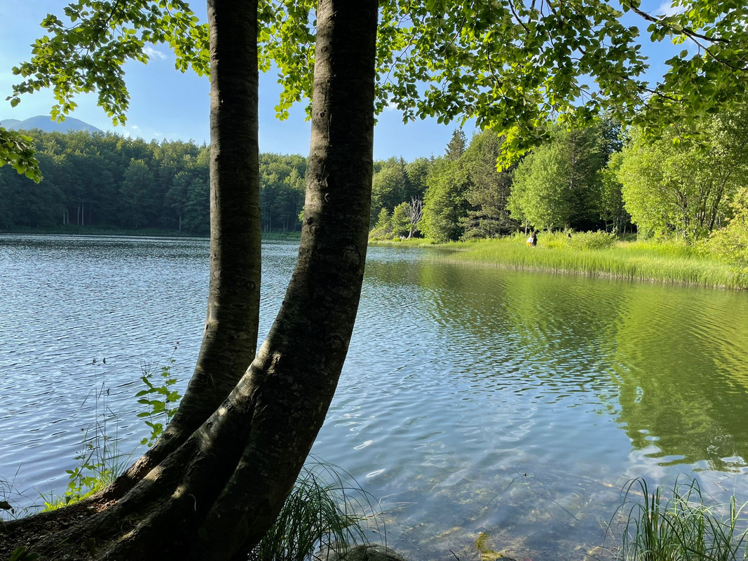 A3A2F499-246C-4536-AA51-B896709CED4B