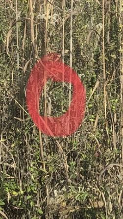 [Linked Image]