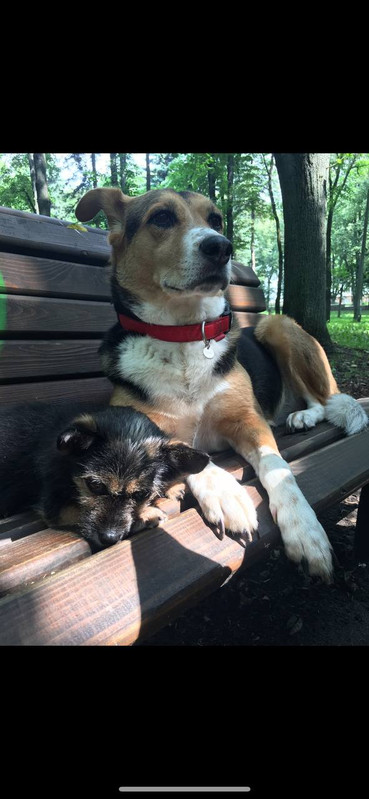 photo 2026 06 24 10 58 52