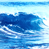 H2O4