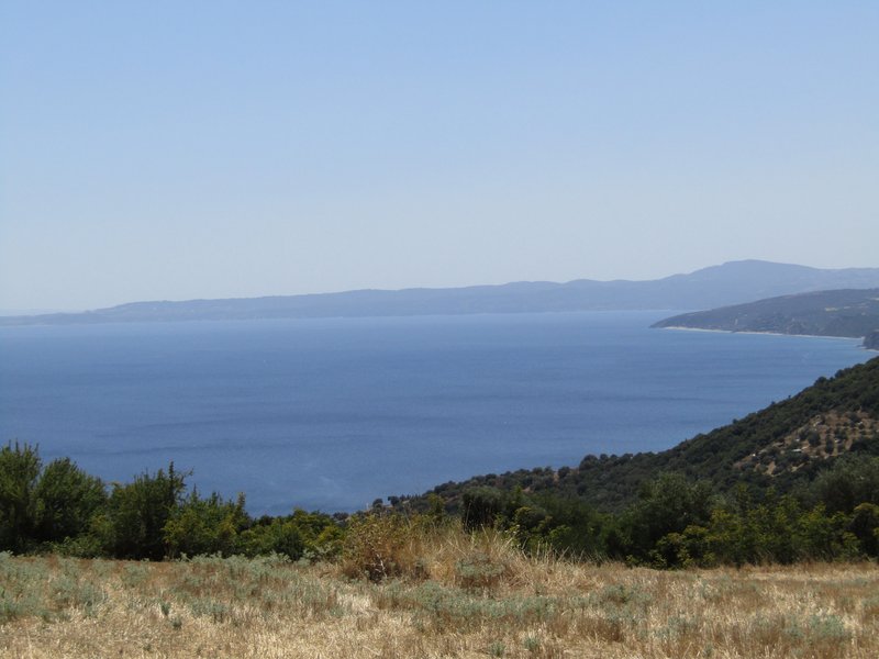 Slika