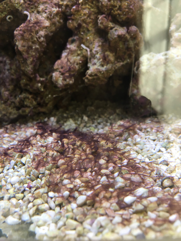 FF64BB50-9E4A-43EB-890B-20234690DBEA