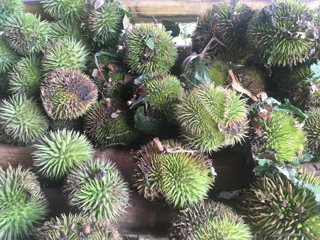 E1204D76-9C21-467D-8ED1-1E09F67BB6BE