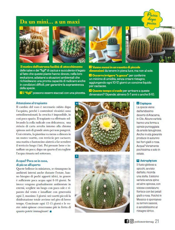 Pol Ver Lug 2025 (4)