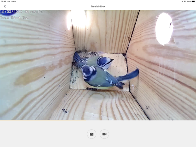 FA5CA7BE-114D-4844-BE84-BB6F8944CC84