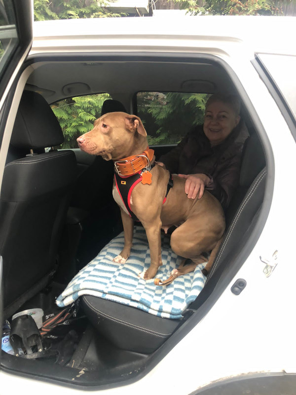 48BC821B-729D-4F89-A578-2E25723229AD