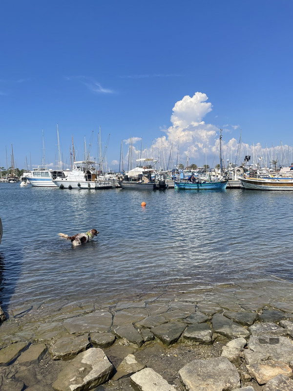 72D2E912-4EF1-4CC6-BA5E-B640EA8E1D3B