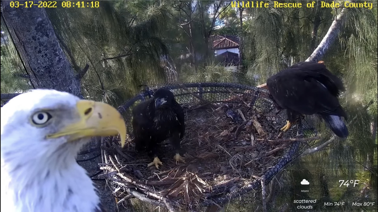 97ECF919-FAEF-473A-84A8-1810D43CDA3D