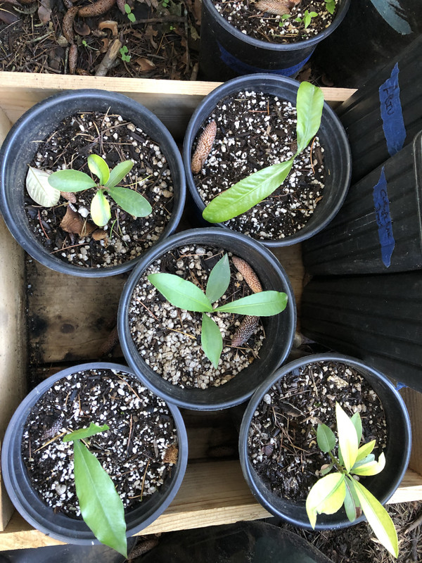 DBEDA399-495C-4CAC-B038-FB598CDE4AB9