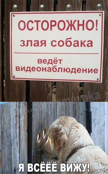 2dae21bf31db678157fab61dd8428c95