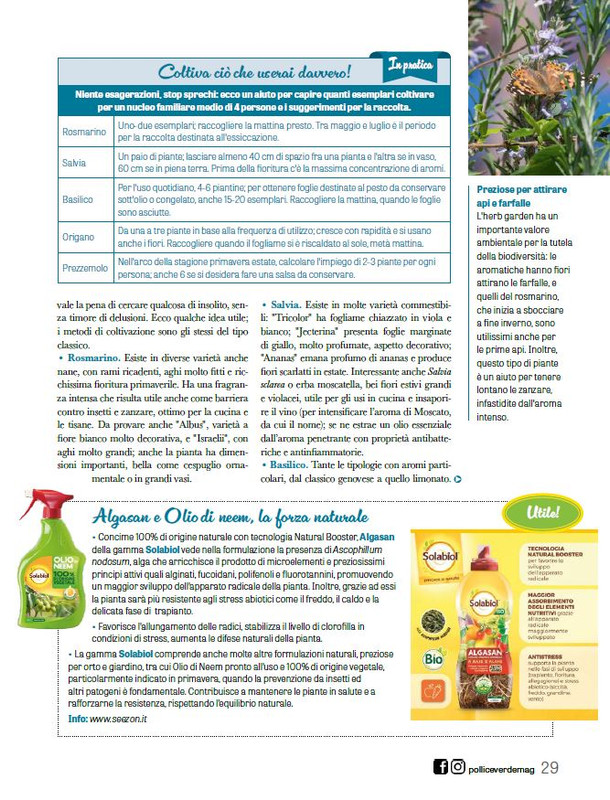 Pol Ver Apr 2026 (4)