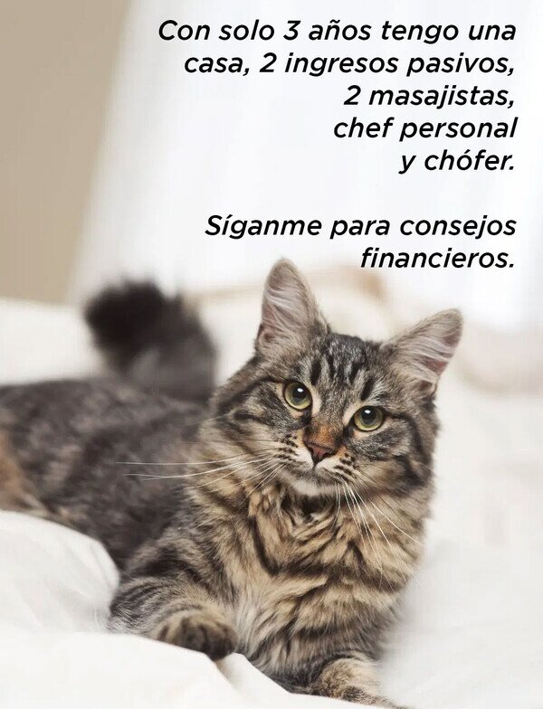 CC-2817149-1f0a20e0b8b64b0a8bc227b9a0a2d158-meme-otros-el-experto-en-finanzas.jpg