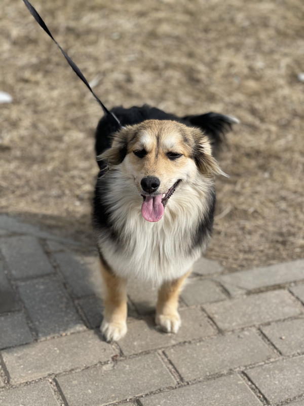 079C224A-ACEF-4EBE-97D9-C2E35A2A61F5