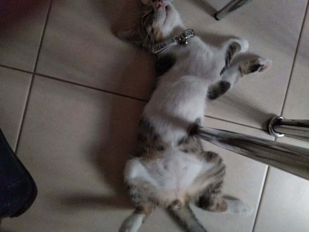 received_461023231118009