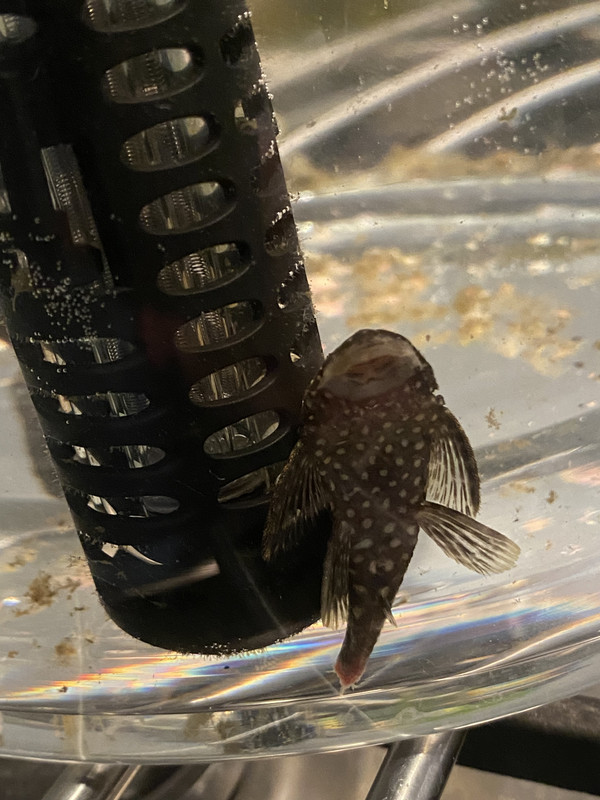 1C428E58-E447-405E-B913-22D80385C13E