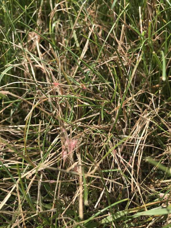 F09CAD75-C1D7-41EB-B472-659606537F67