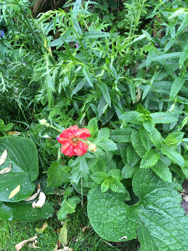 A31A8F1D-1D9B-4A03-B3D7-91B174A1D8E6