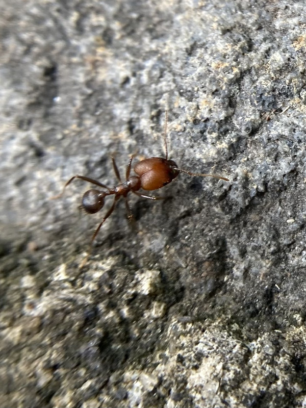 266CA494-A352-48AB-B338-E4313DD0FB99