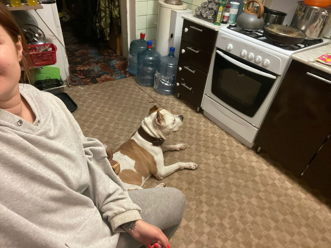 D924E7C0-EB0E-417E-A30E-A8A6A73F6E18