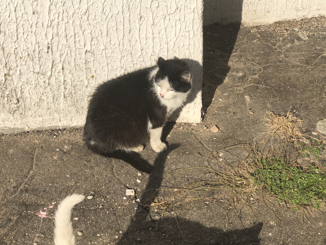 64C65A13-A6D7-4463-AFFB-D8604EAAD739