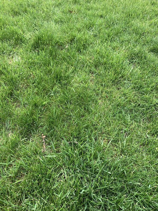 7F09C8DC-302C-4976-963D-9E29A8FBC650