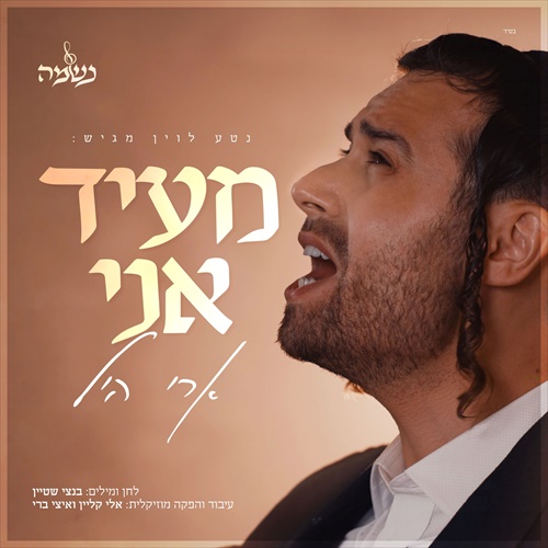 תמונה