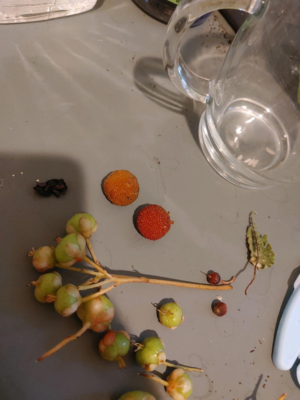 media-1719862885982-Jun_30_2024_5_48_PM