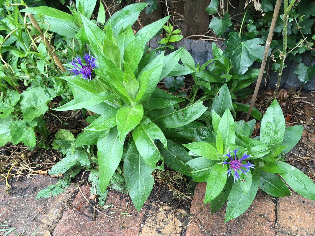 41DF0C84-98B5-44FF-97B7-F008A6CA28D4