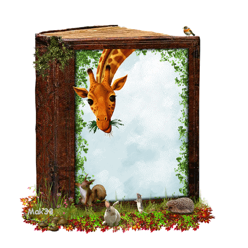Giraffe_eating