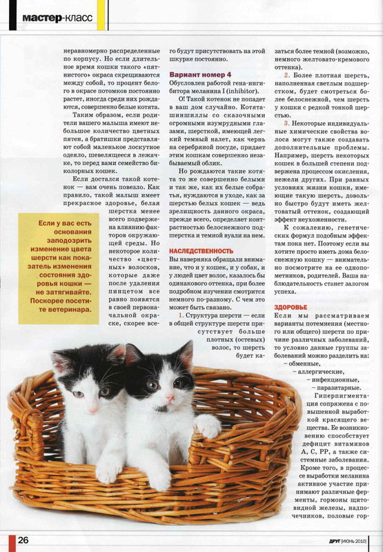 Друг кошек № 6 2010-27