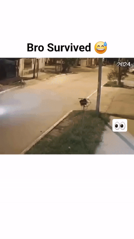 77331C78-D94A-4FBB-BFAB-ED1877DCF4FF.gif.5320a970b8cc38c2c05fc83f6f903d19