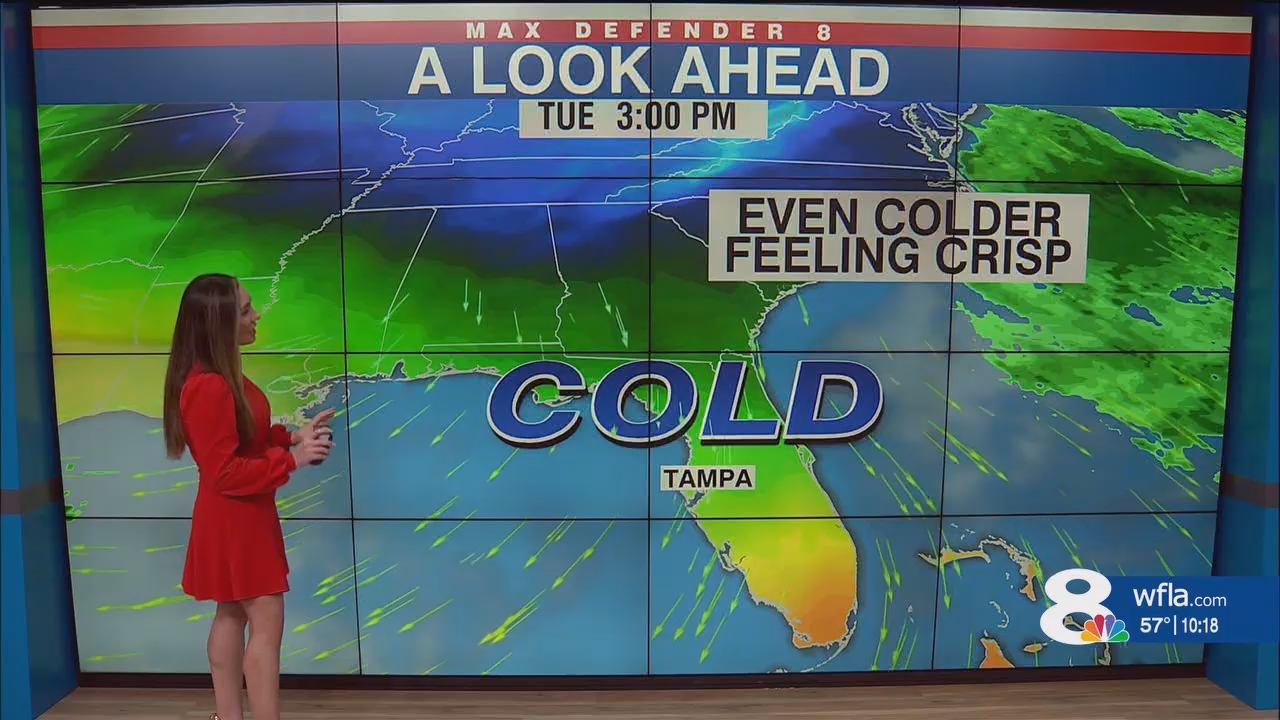 NewsChannel 8 News at 1000pm_20241130_03000330.ts_snapshot_19.29.935