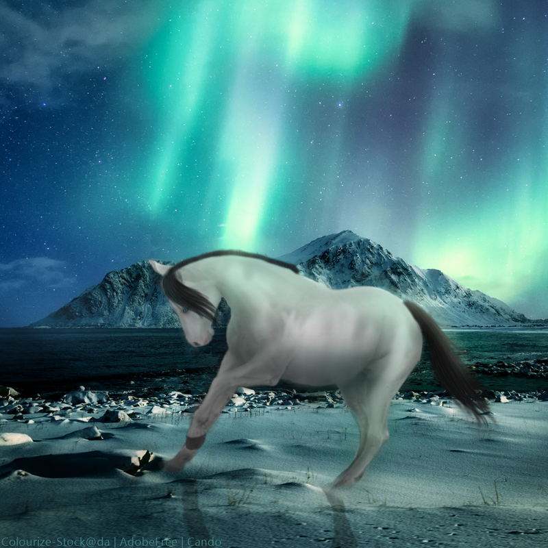 12246C51-ECBA-4F26-9586-1D4F69D298B7