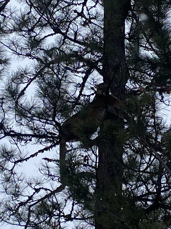 F46599FF-8248-4E79-B7E7-ADEF0C1CBDC4