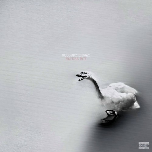 Goosebytheway-Nature-Boy-WEB-2026-UVU.jp