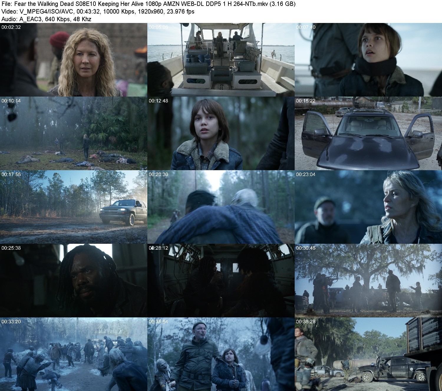 [Image: 9kxk58fll6ea.jpg]