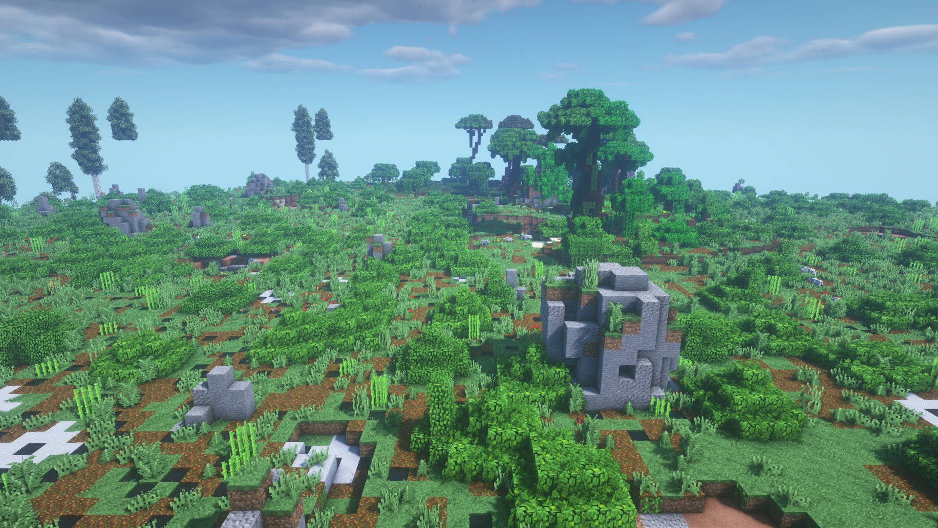 lush jungle