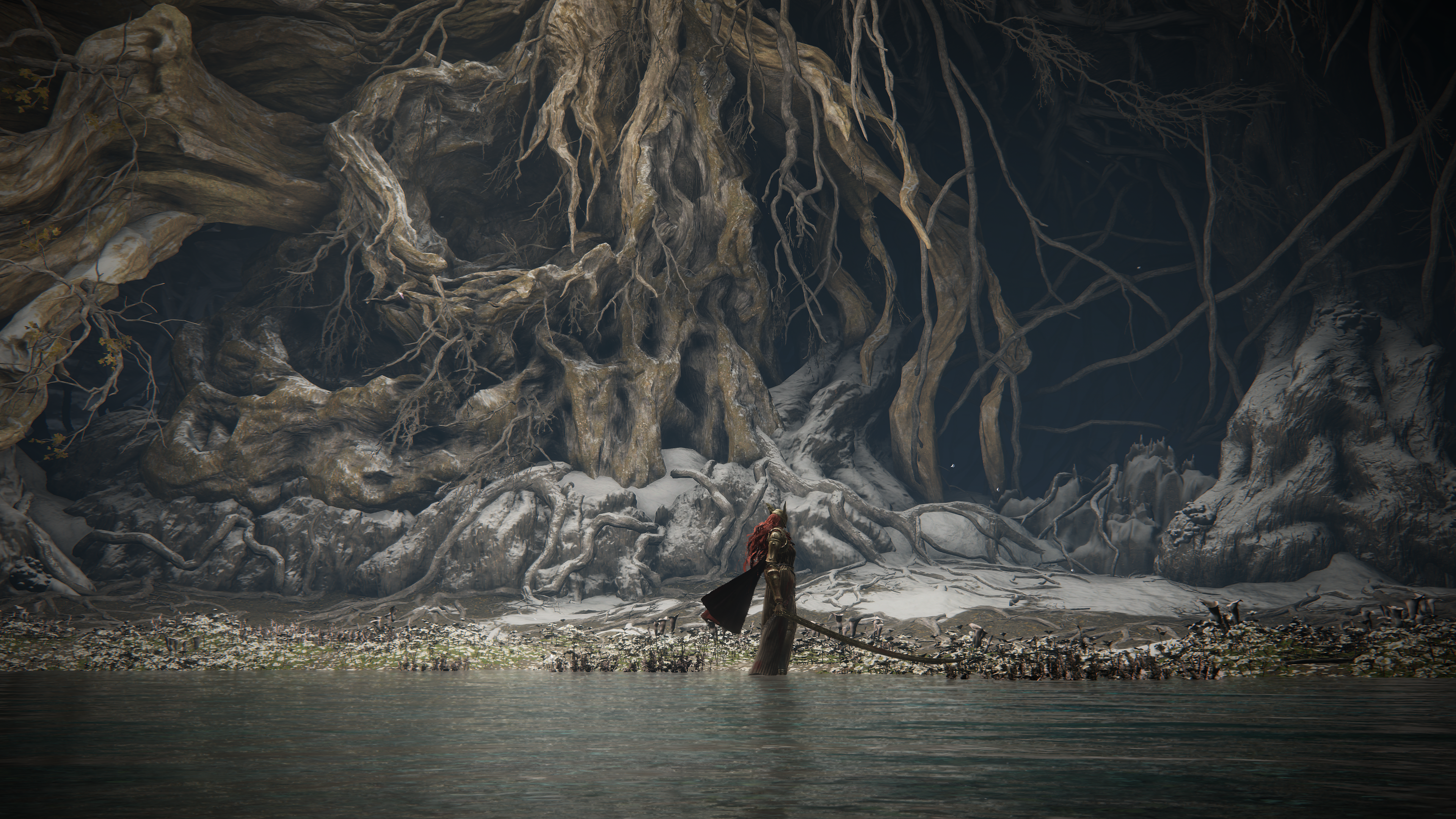 ELDEN-RING-20241019164657.png