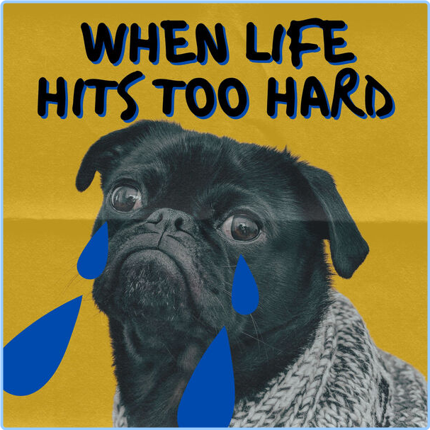 Various Artists - When Life Hits Too Hard (2024) [320 Kbps] 5ijdb58dvx1n