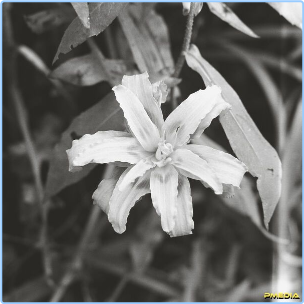 [Image: bonb2zr2h79q.png]