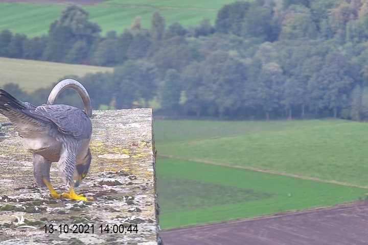 campics vanaf 1 juli © VWGGemert en bonusjes van ter plekke - Pagina 35 V7