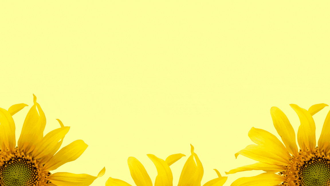 Photo-Presentation.gif