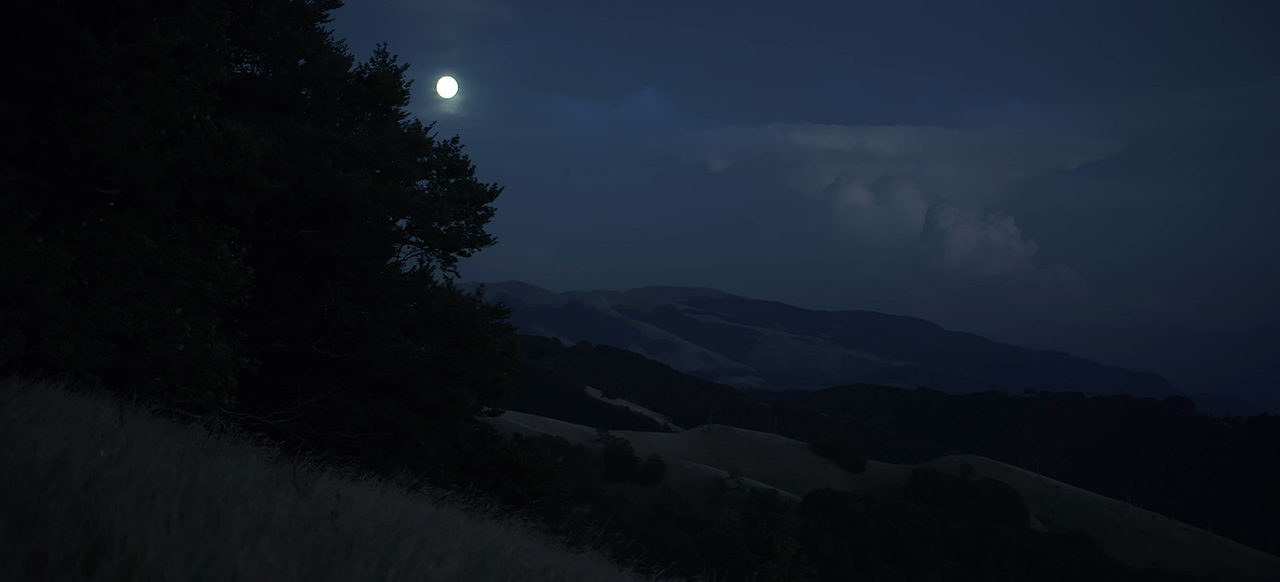 vlcsnap-2025-07-02-11h55m45s265